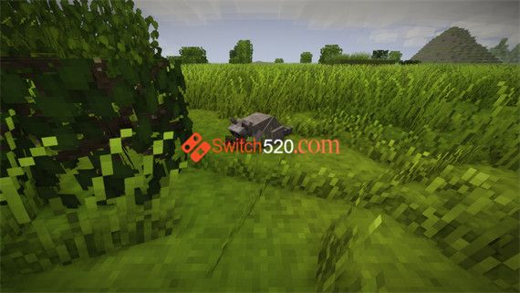 40089_2