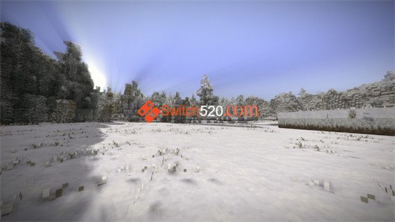40089_5