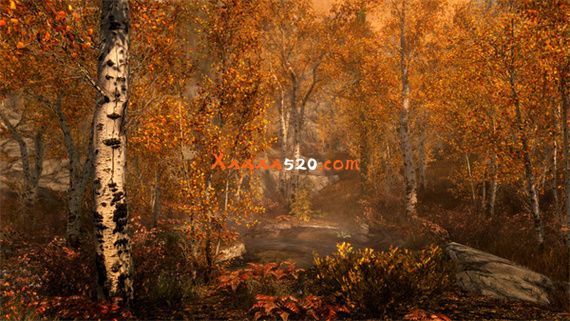 42464_4