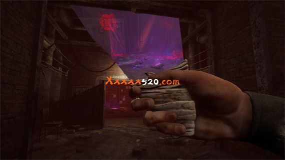43216_8