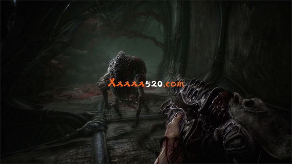 43399_4