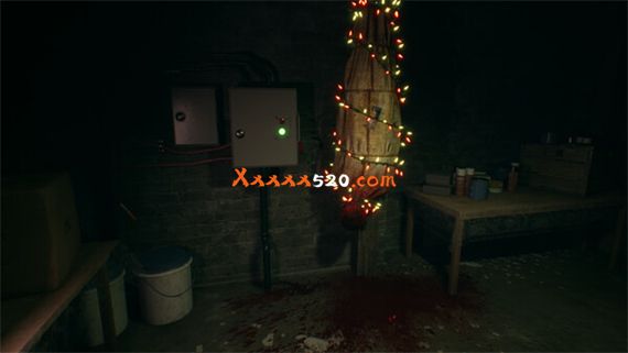 47217_4