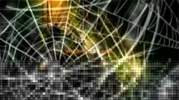 49646_1