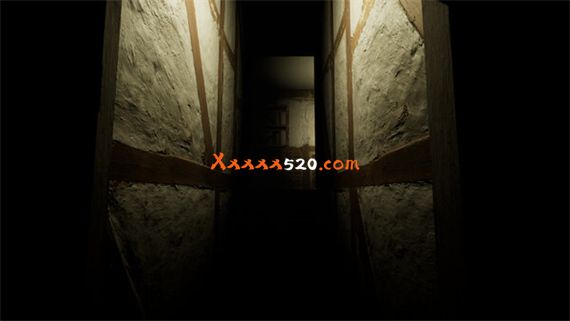 52135_5