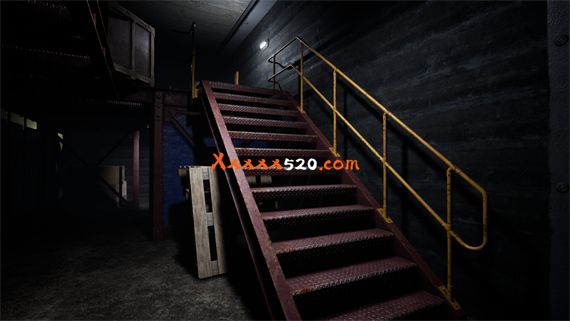 52135_6