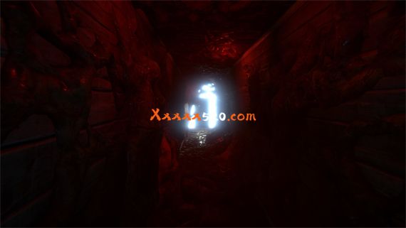 53264_6
