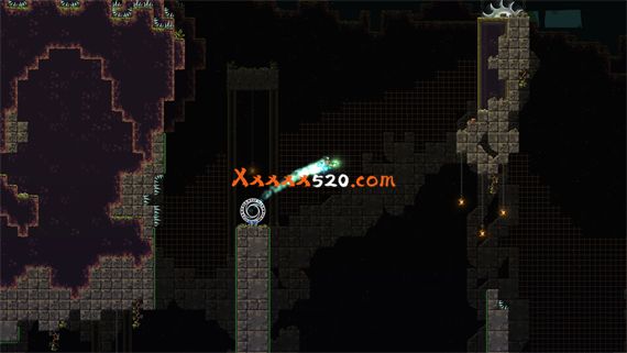 53238_8