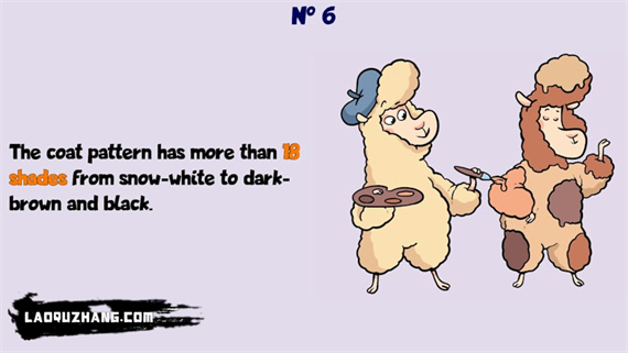 72128_2