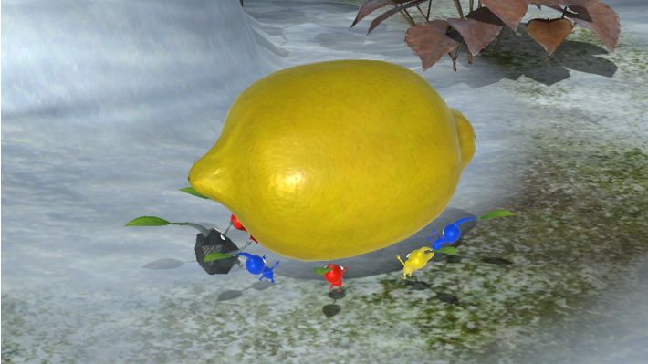 66920_1
