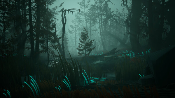 72841_7