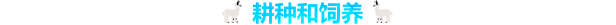 87352_21