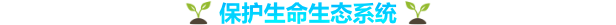 87352_19