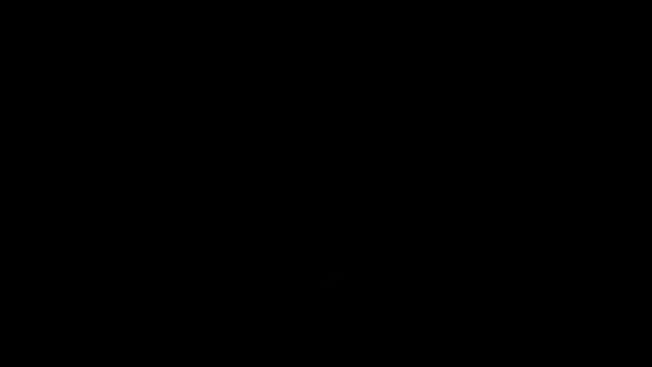 29664_1