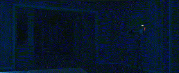 39510_11