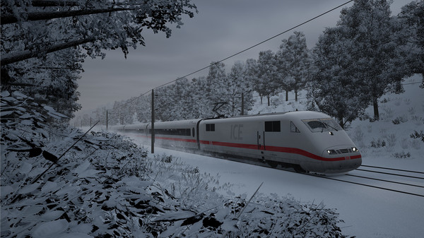 40906_3
