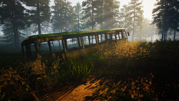 80462_4