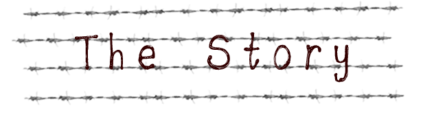 55312_3