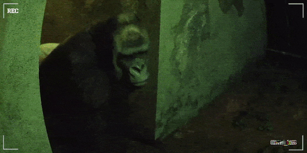 82660_1