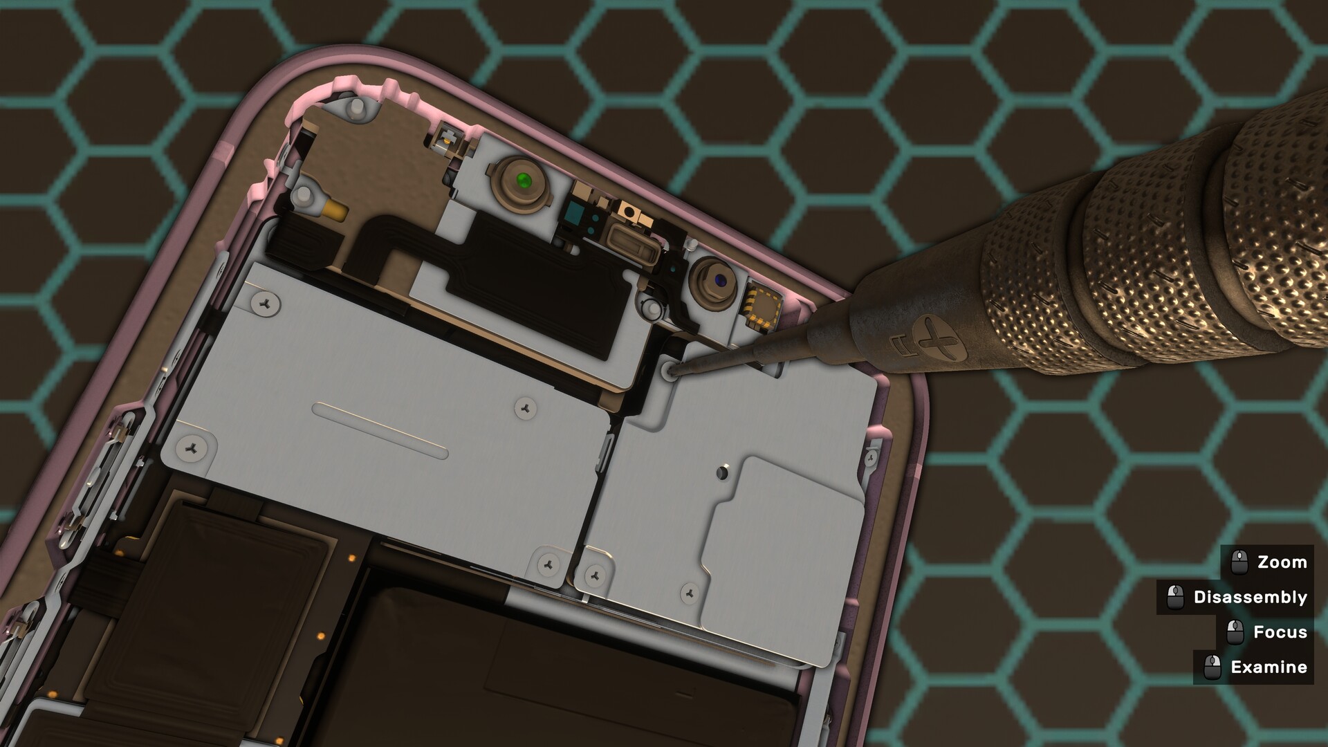 80843_7