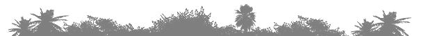 48261_15