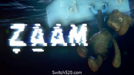 ZAAM- Switch520.com-Switch520