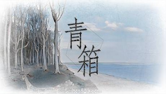 青箱- Switch520.com-Switch520